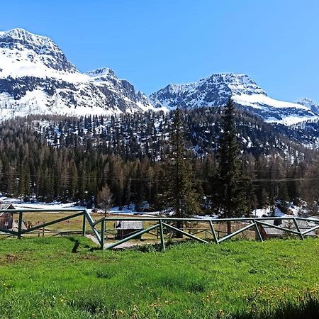 Апартаменти Casa Dolomiti Моена Екстер'єр фото