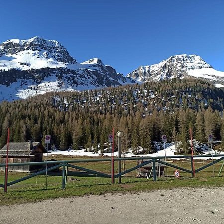 Апартаменти Casa Dolomiti Моена Екстер'єр фото